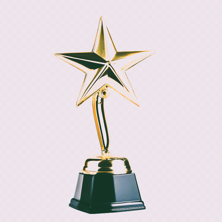 Recipient of the Perseverance Award